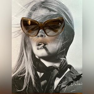 Iconic 2000s SMITH Fixx Sunglasses TLT Lenses -Brown - Victoria Beckham Posh